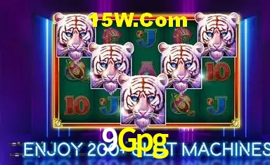 Apostas Esportivas na 9Gpg: Um Guia Completo